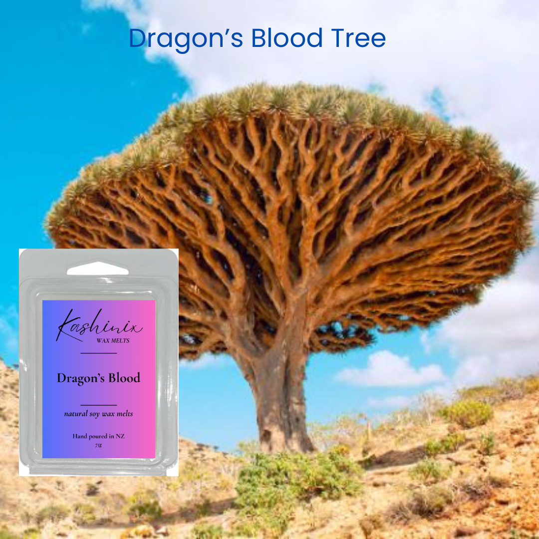 Natural Soy Wax Melts - Dragon's Blood